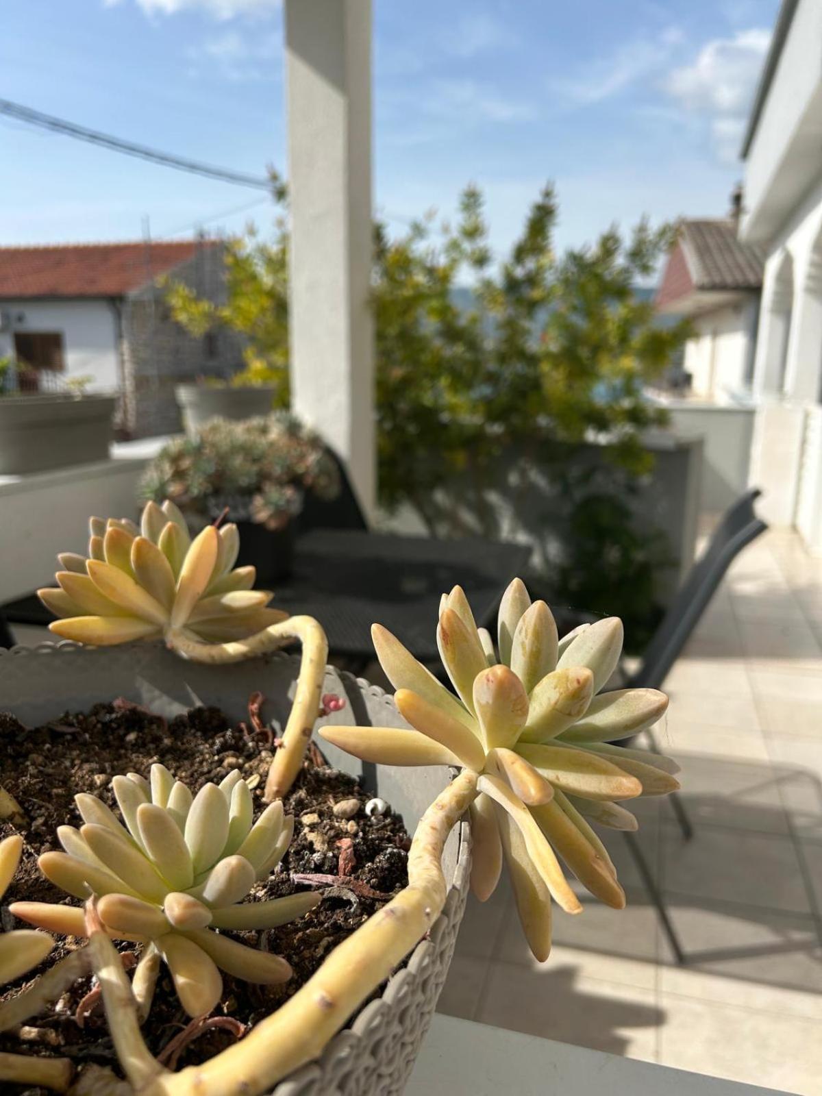 Apartmani Grgic Trogir Extérieur photo